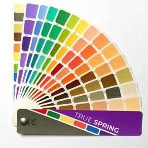 NDU True Spring Color Palette Fan NWOT